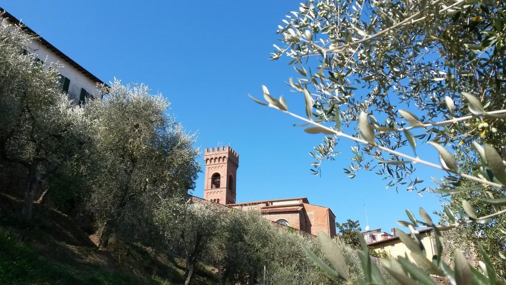 Bed and Breakfast Antica Casa Dei Rassicurati Монтекарло Екстер'єр фото